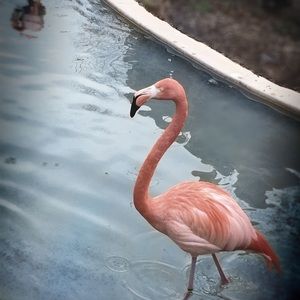 Meet your Posher, Madie